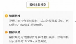 梨视频爆料费多少钱,揭秘巨额费用背后的真相